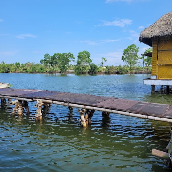 Hình ảnh Sinh thái Tâm Anh - 2