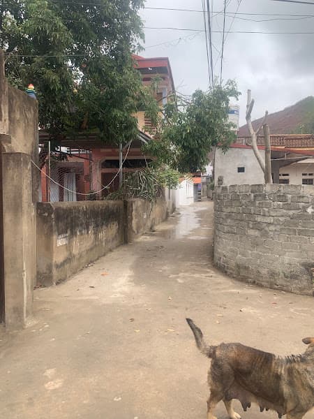 Ảnh bìa Tẩm quất ngọc thiện