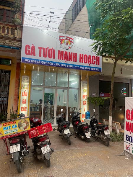 Ghế massage cao cấp Hakita Thái Bình