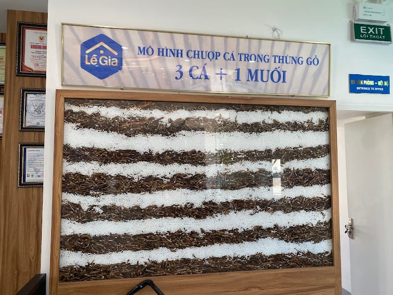 Ảnh bìa Nhà Thùng Mắm Truyền Thống Lê Gia - Biển Hải Tiến