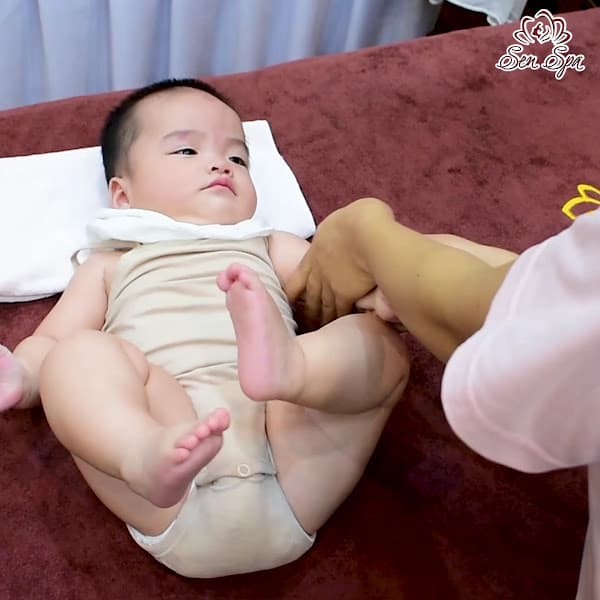 Hình ảnh Sen Thái Nguyên - 5