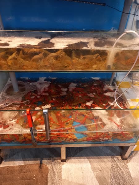 Ảnh bìa Seoul BBQ Buffet