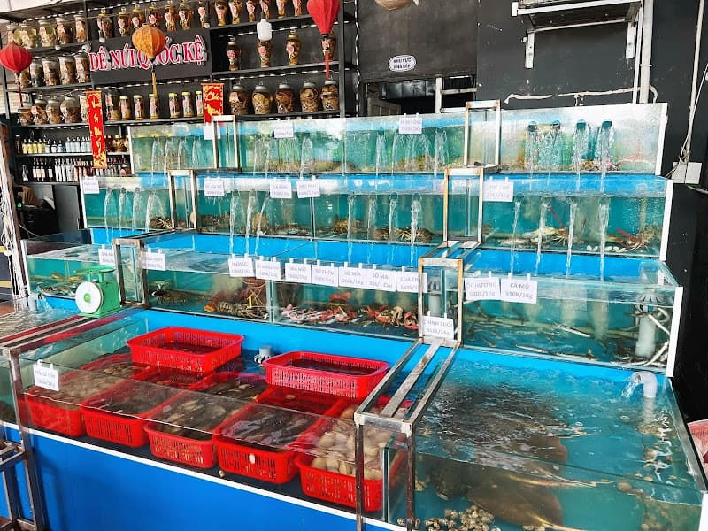 Ảnh bìa Dê Núi Quốc Kệ