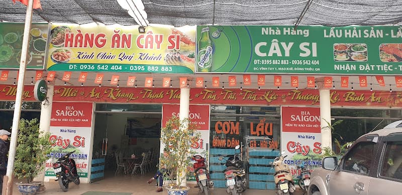 Ảnh bìa Nhà hàng cây si