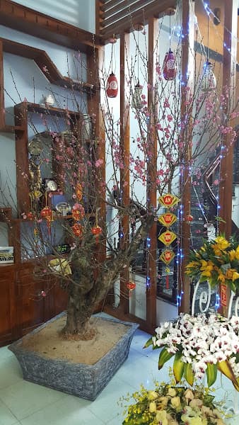 Ảnh bìa Tre Cafe