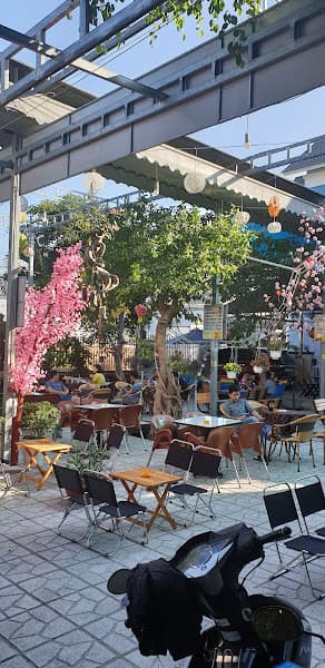 Ảnh bìa Coffee hoa loc vung