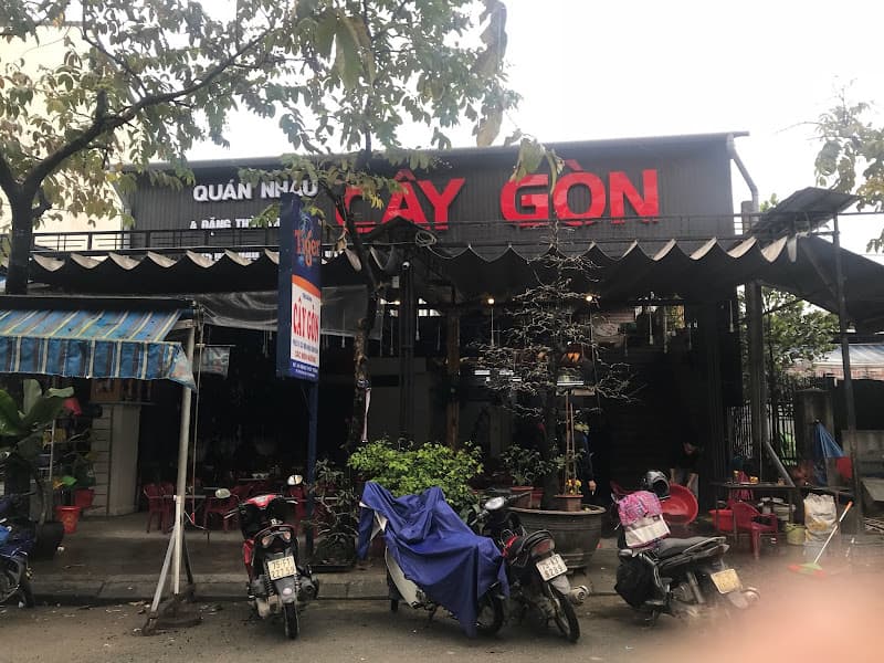 Ảnh bìa Cây gòn