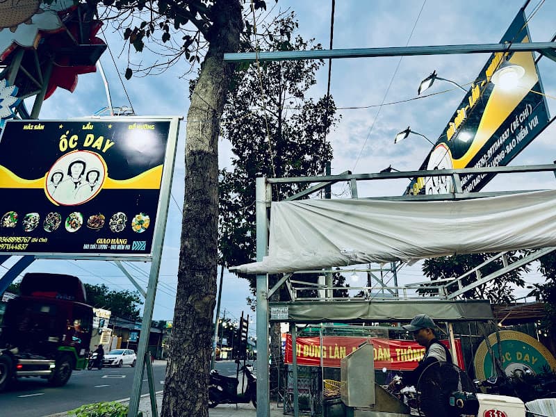 Ảnh bìa Ốc Đây