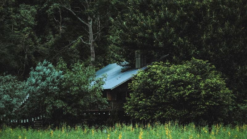 Ảnh bìa Dalat Camp