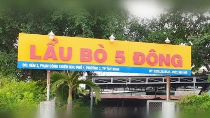 Ảnh bìa Bò tơ 5 Đông