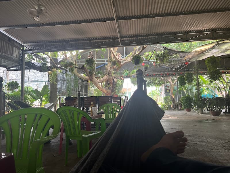 Ảnh bìa Cafe cây sung107