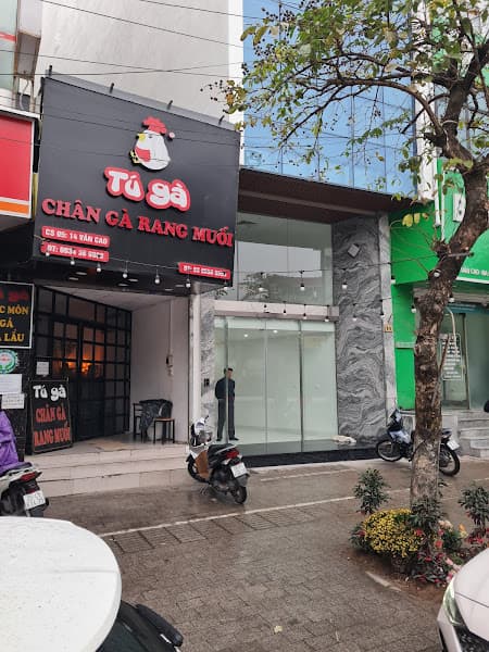 Ảnh bìa Tú Gà Văn Cao