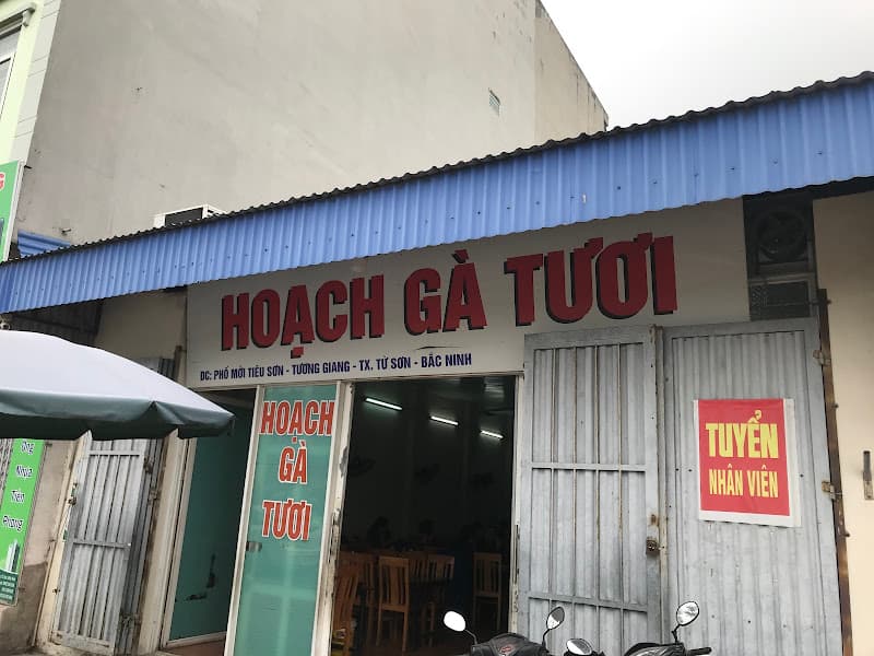 Ảnh bìa Nhà Hàng Gà Mạnh Hoạch