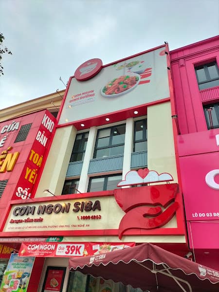 Ảnh bìa Cơm Ngon Siba Lê Nin