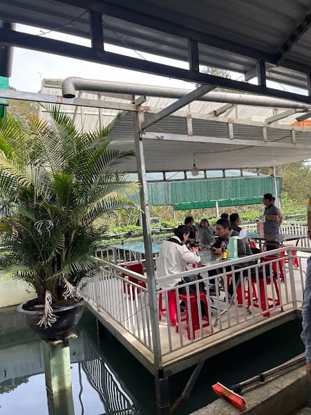 Ảnh bìa Hồ Nuôi Cá Tầm Anh Thuỷ