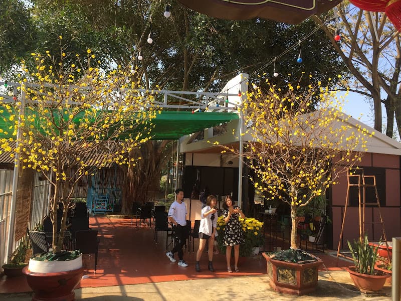 Ảnh bìa CAFE Ý Tưởng