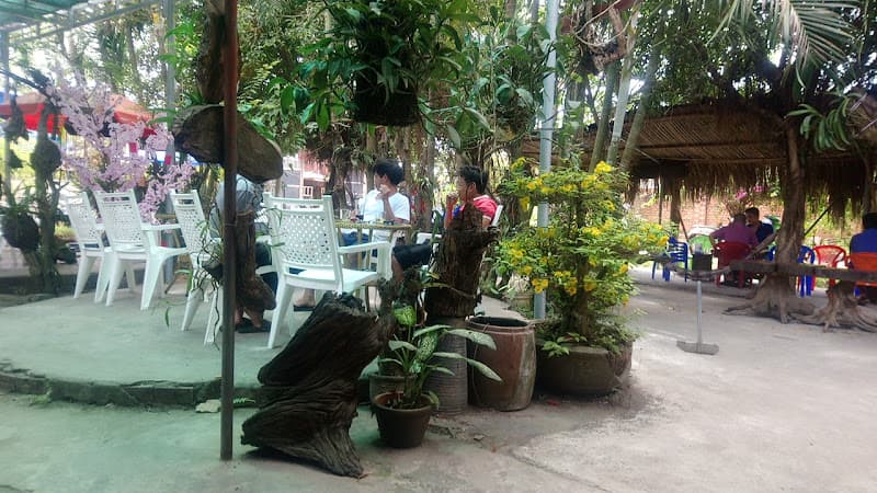 Ảnh bìa Cafe Cây Vú Sữa