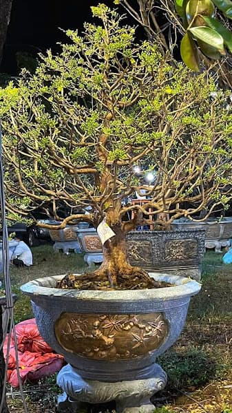 Ảnh bìa Hà Minh Hiếu