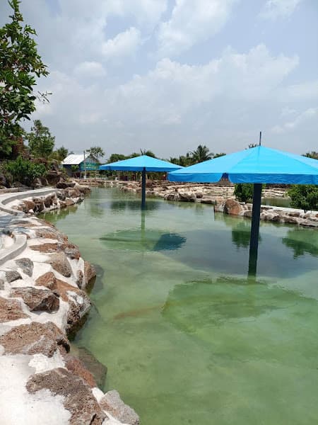 Ảnh bìa Sinh thái vườn Năm Bửu Suối Mơ