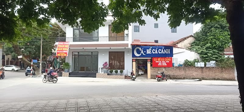 Ảnh bìa Cá Cảnh Phương Trinh