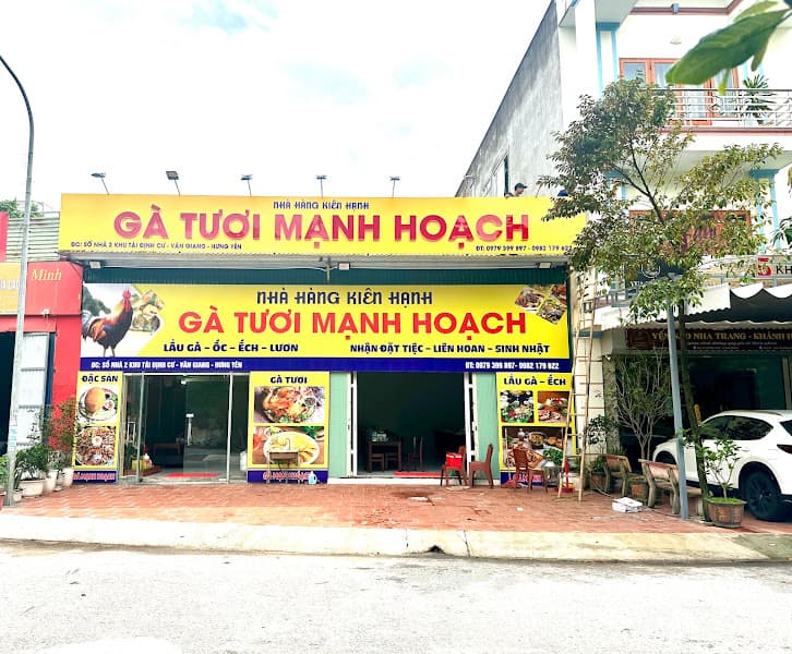 Ảnh bìa Gà tươi mạnh hoạch kiên hạnh