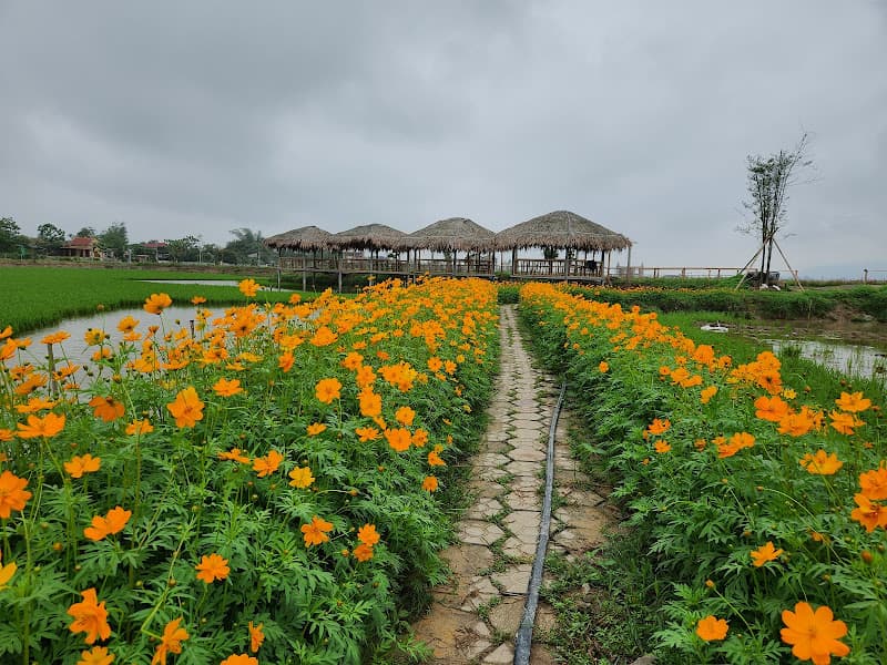 Ảnh bìa THÔN TRANG LIÊN NHẬT