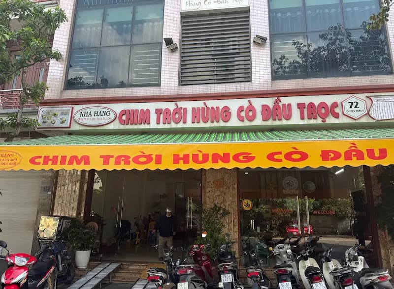 Ảnh bìa Chim Trời Hùng Cò Đầu Trọc