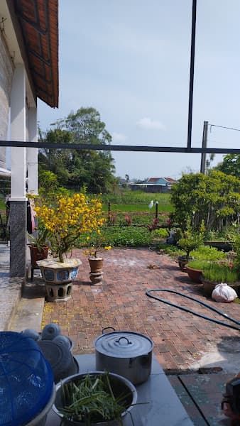 Ảnh bìa Bánh tráng Cô Liên