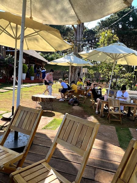 Ảnh bìa Thông Farm & Bistro